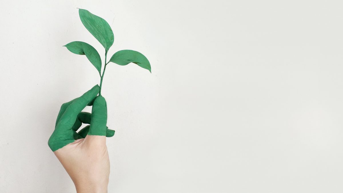 Disruptores Endocrinos categorizados en CLP