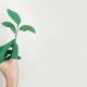 Disruptores Endocrinos categorizados en CLP