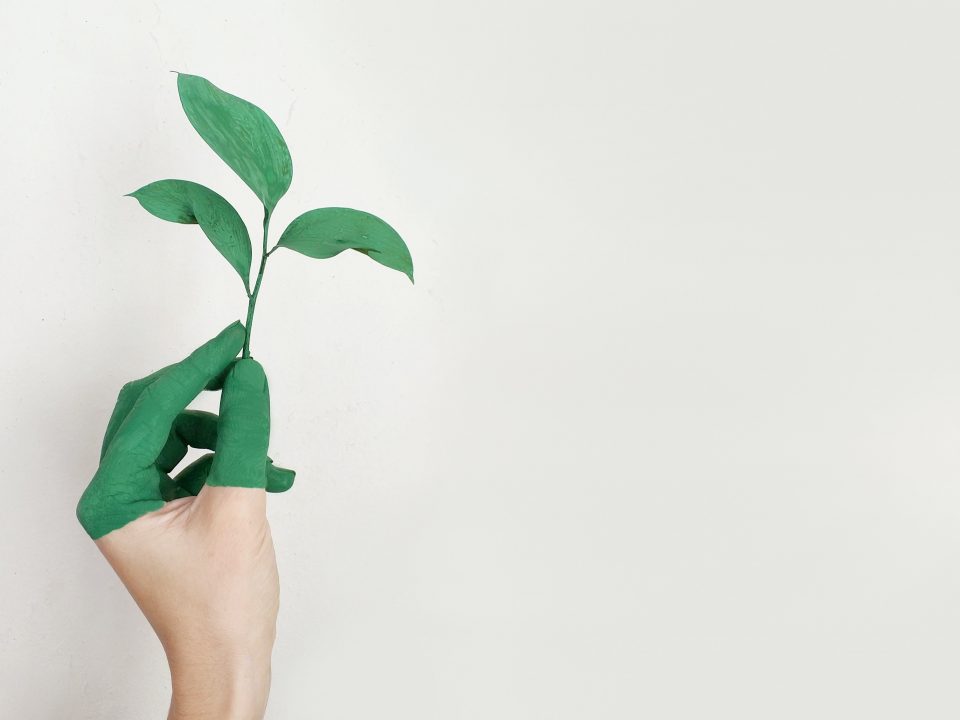 Disruptores Endocrinos categorizados en CLP