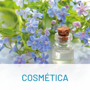 Nordiik, especialista en sector cosmética