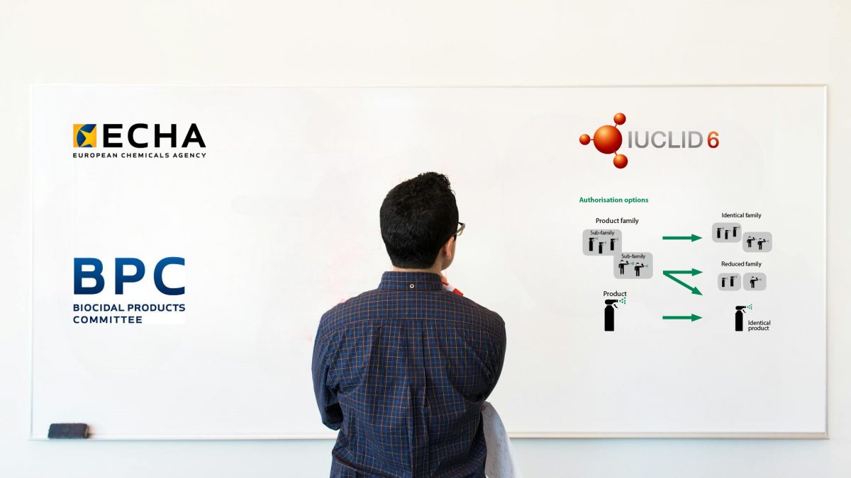 BPR Authorization Process