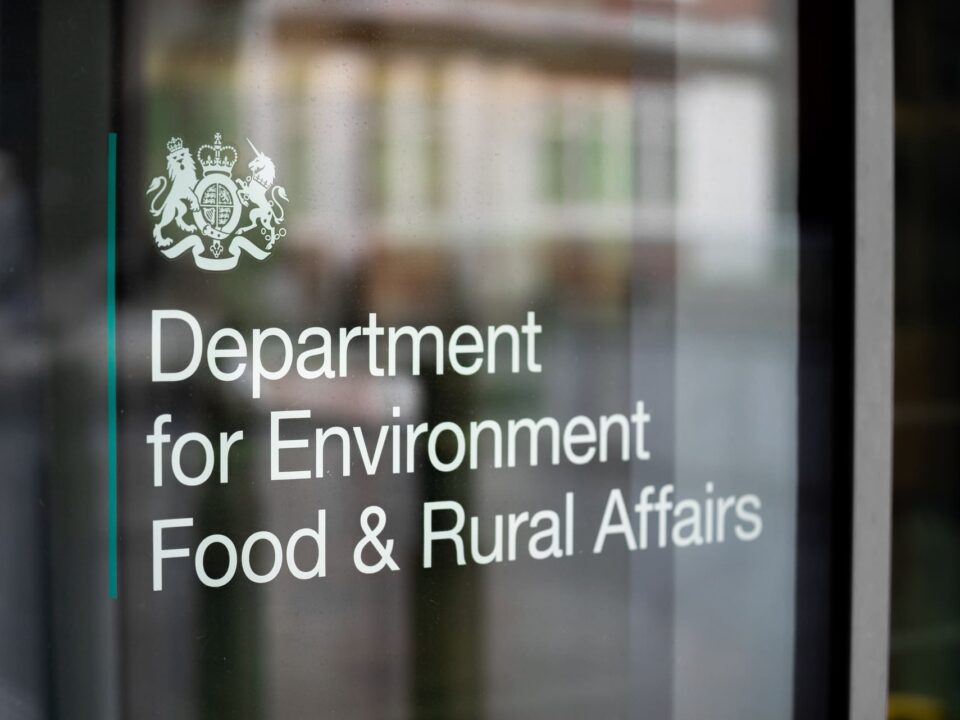 UK REACH Deadlines Extended