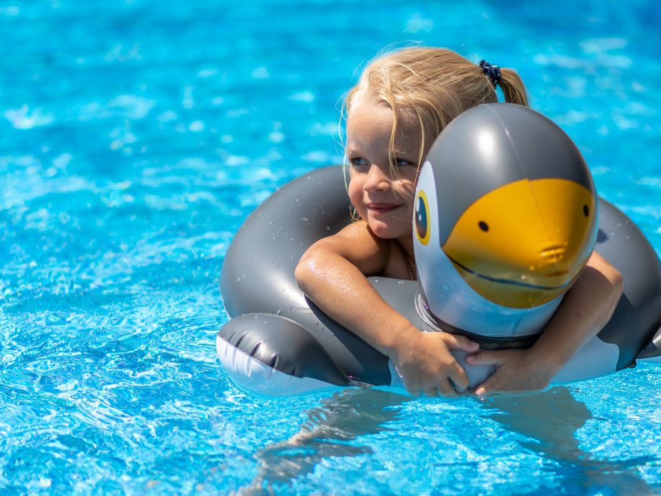 desinfección alguicida PT2