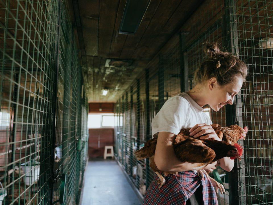 Aprobación del ADBAC/BKC y el DDAC