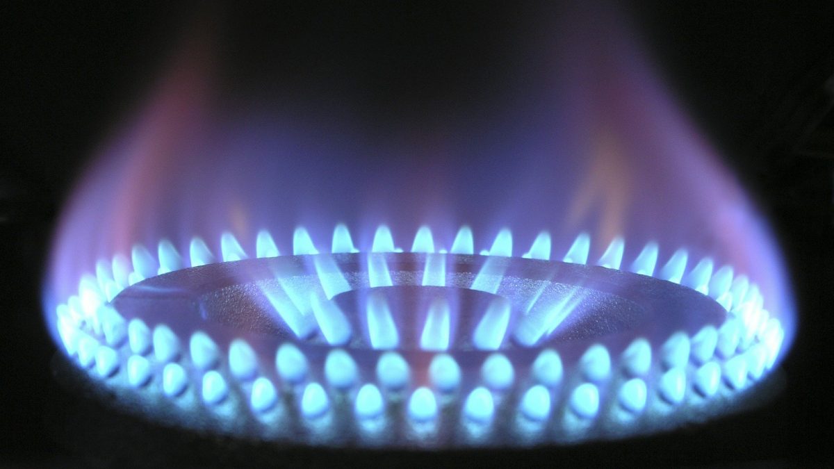 Sorbato de Potasio y el Dióxido de Carbono